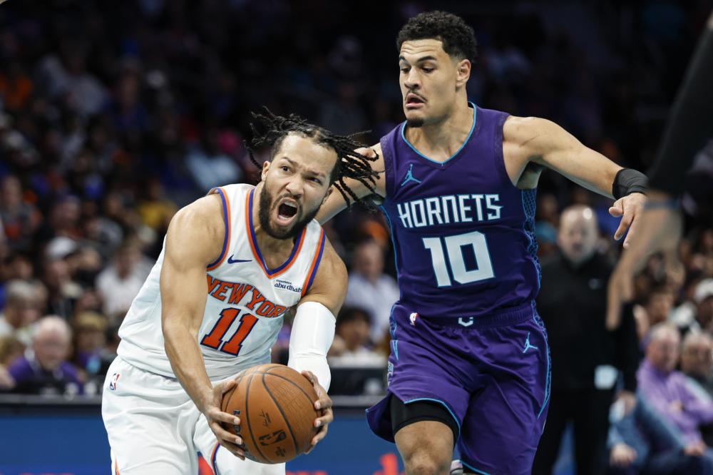 展示了坚韧 展示了坚韧